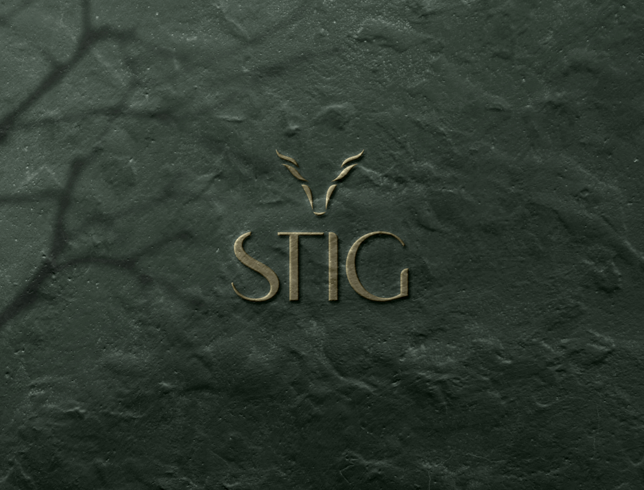 stig logo