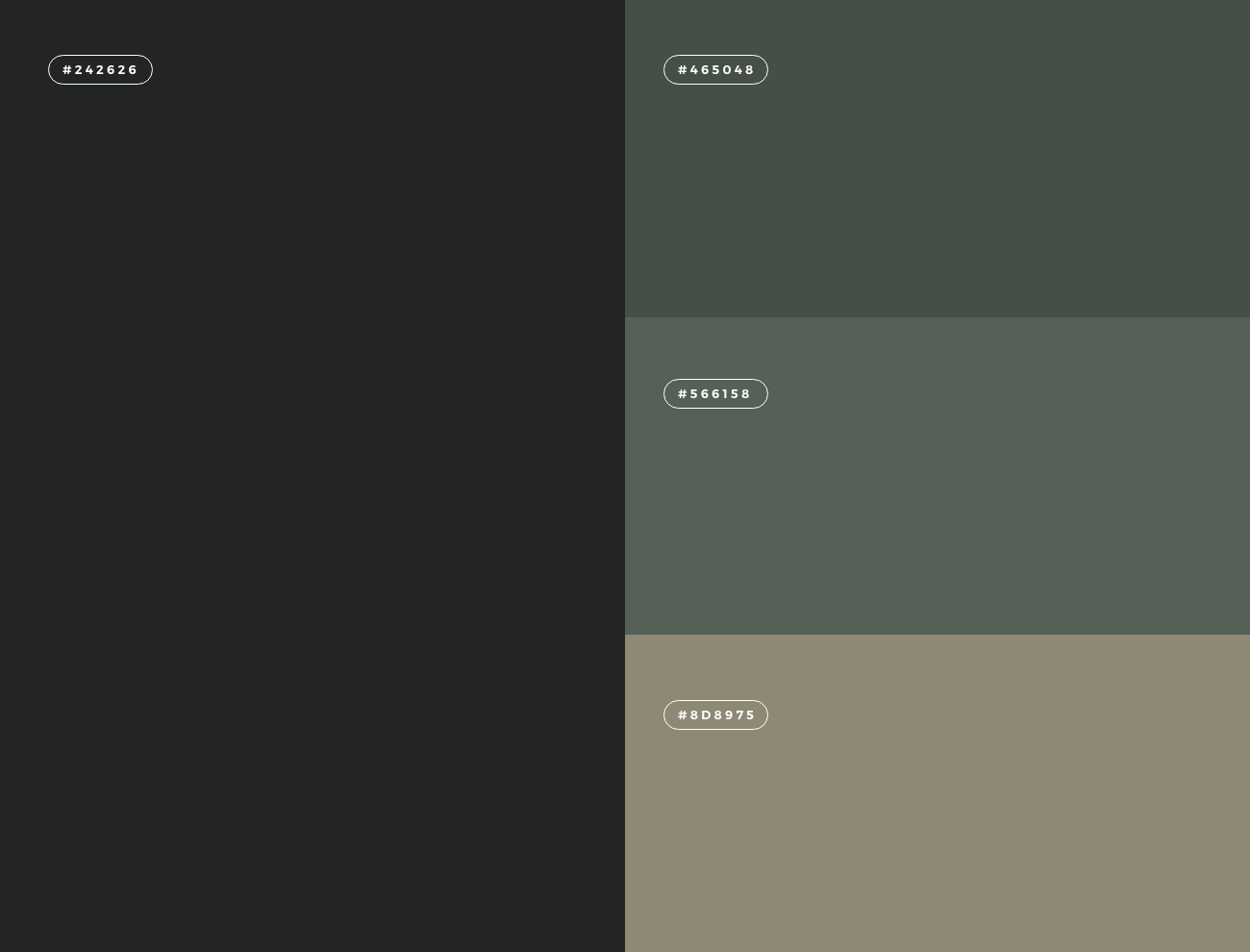 stig palette colori