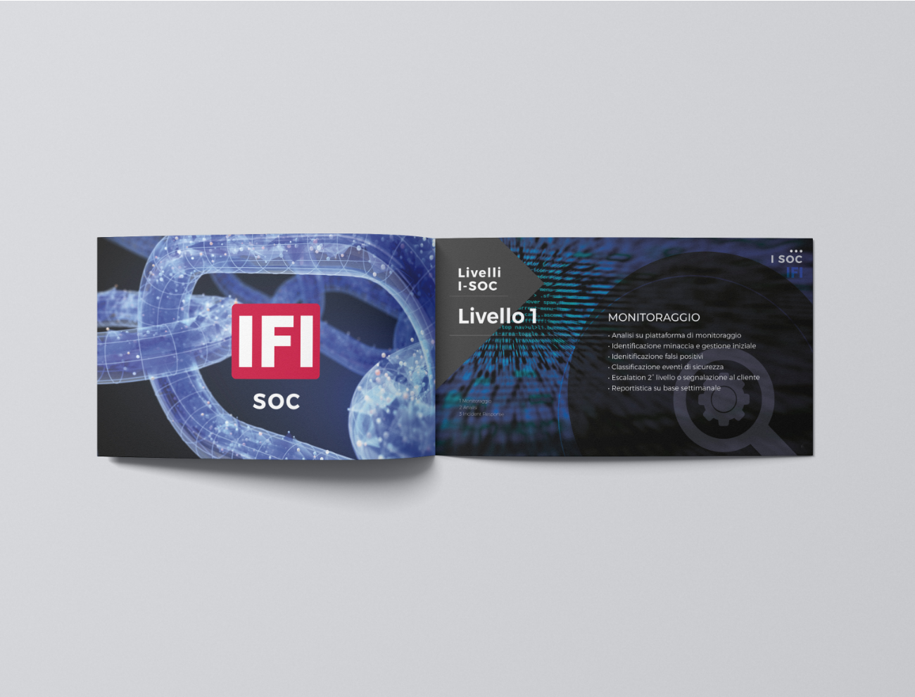 IFI brochure